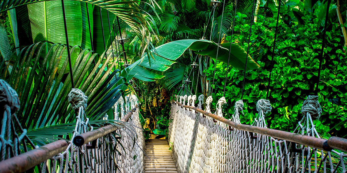 vegetaliser-le-bureau-une-source-de-bien-etre-au-travail