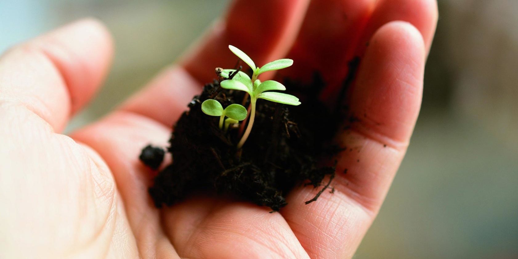 au-printemps-reveillez-vos-espaces-verts