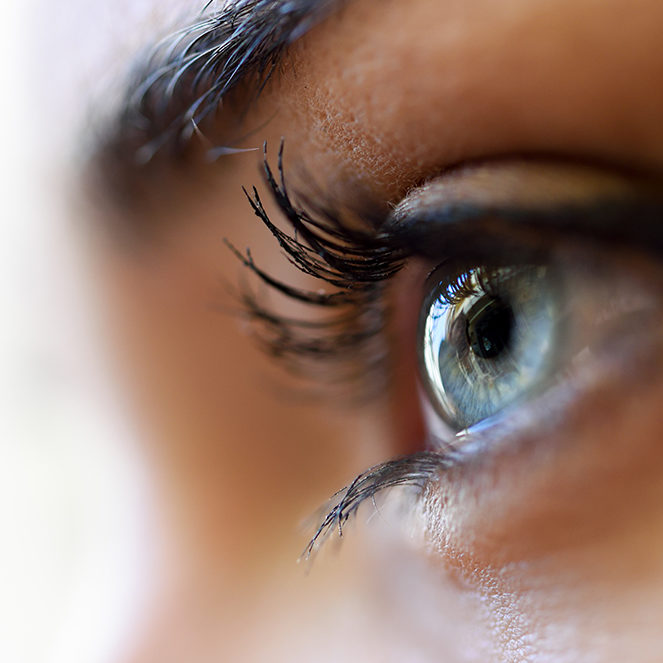 oeil-handicap-vision handicap visuel